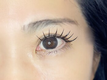 フェリーズ(Feliz)/ふらっとラッシュ