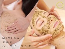 ミモザ(MIMOSA)