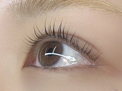 ルミエール(Lumiere)の写真