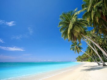 ハワイアンフォレストSpa センター北店/*すっきりした空!*