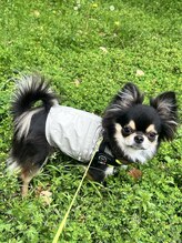 エイムネイル(a.me.nail.)&nbsp;コロッケ 