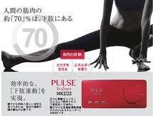 ヨサパーク エタニティ(YOSAPARK)/パルストレーナー