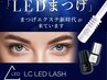 【再来】LEDフラットラッシュ上付放題/¥10450 (前回LEDの方6週以内¥330OFF)