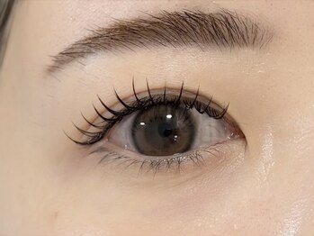 ルピナス 川口(Lupinus)/フラットラッシュ80本