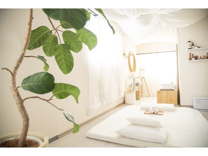 マドロマ(Madoroma)の写真