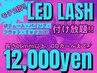 ☆LED LASH☆ボリュームラッシュorバインドロック付け放題(120分枠)