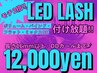 ☆LED LASH☆ボリュームラッシュorバインドロック付け放題(2時間)