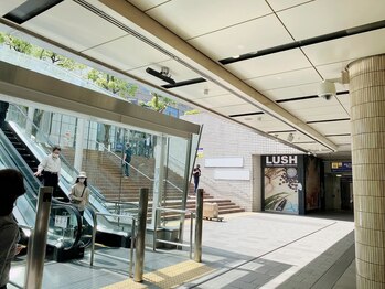 アイラッシュサロン リリアーナ(eyelashsalon Liliana)/4.LUSH前を上がります