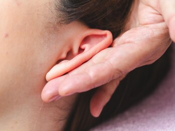 スリムプルメリア/