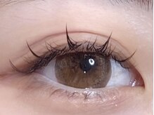 テント 町田店(tent)/【ナチュラルワンホン】100本★