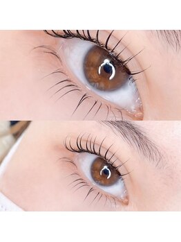 レ プリューム(les plumes)/上下カールラッシュリフト