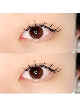 ラウラ(Laula)/フラットラッシュ120本