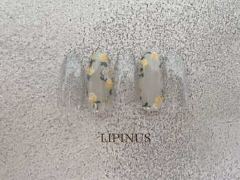 シアン(CYAN)/2025.SS