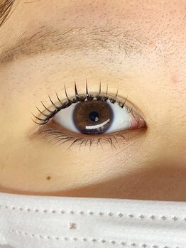 初めての方にオススメ