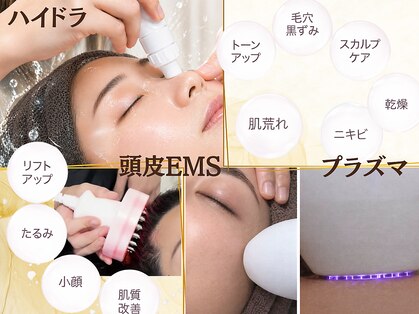 プルフローラ(pluflora)の写真