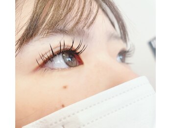 アンティス(ANTIS)/フラットラッシュ