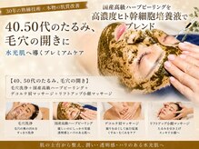 マリエンドリー
