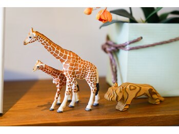 ライフバランスカイロプラクティック 松戸/エントランス