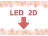【LEDフラットラッシュ・2D/】最新話題！！軽さ・ボリューム・持ちの良さ☆　