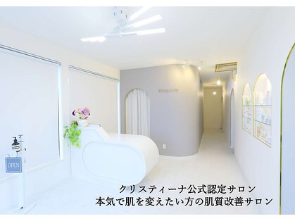 マーガレット(Marguerite)の写真