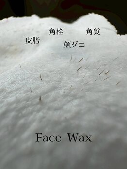 リッシュ(riche)/フェイシャルワックス