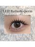 【new☆エクパ】LEDフラット×パーマ　100本￥10900