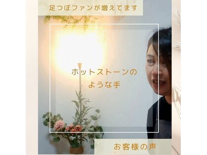 コトン(coton)の写真