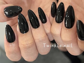 トゥインクルネイル(Twinkle Nail)/【漆黒の艶】ワンカラー★