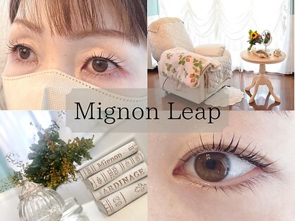 ミノンリープ(Mignon Leap)の写真