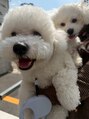 ミウ(Miu)&nbsp;11キロと4キロのワンコ