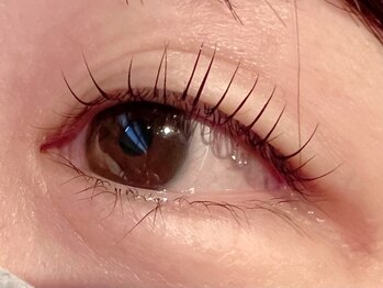 レミア 関内(REMIA)/9月 パリジェンヌラッシュリフト