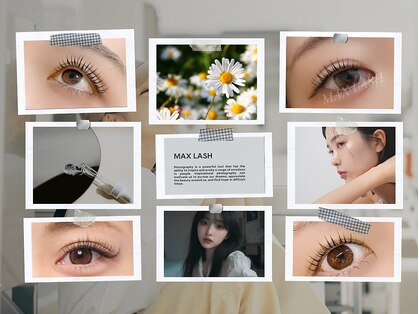マックスラッシュ(MAX LASH)の写真
