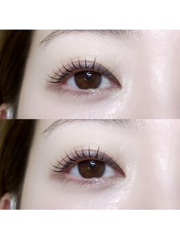 ミロ バイ キング 樟葉店(Milo by king)/パーソナルラッシュリフト