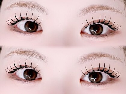 クリムアイラッシュ(crim eyelash)の写真