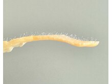 チピ 那覇新都心店(Chipie)/フェイシャルワックス導入♪