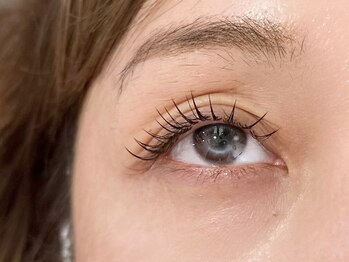 アマンズアイ(amans eye)/フラットラッシュ