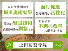 光が丘 上田柄整骨院