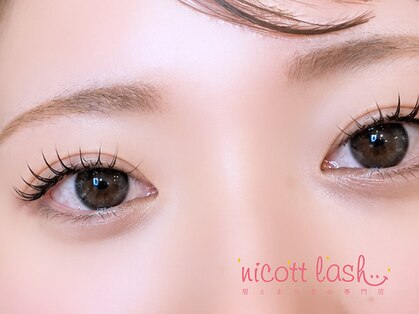 ニコットラッシュ 京橋店(nicott lash)の写真