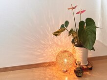 エフプラネット(F Planet)/サロン風景