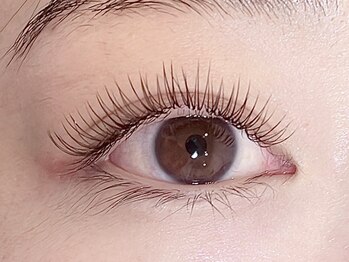 ザ ベッピン(the 別嬪)の写真/LEDじゃなくてもモチが良い！と驚かれる“デザインキープラッシュ”自まつ毛に合わせ、安定する装着を実現