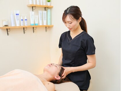 アミティ コーシー(amity cosy)の写真