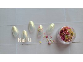 シンプル定額デザイン