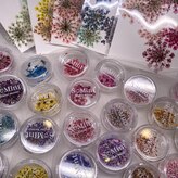 アネラネイル(Anela Nail)