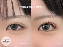 ナルカ(naluca)/【堺市・中百舌鳥】マツパ