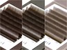 【ブラウンカラー】LEDフラット120本(保湿+コーティング付) ¥9570