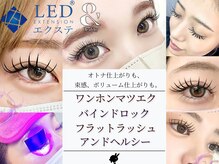 バニーラッシュ(Bunny Lash)