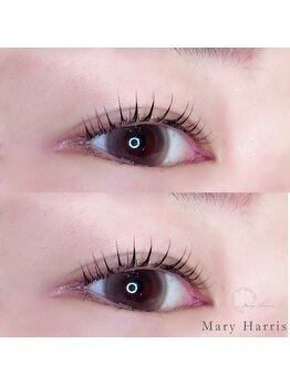 メアリーハリス 姪浜(Mary Harris)/まつ毛パーマ