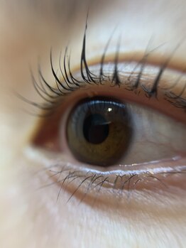 アイラッシュ ミル 御領店(eye lash Miru)/セフルまつ毛パーマ講座!