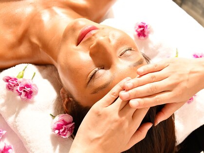 オリーヴァ 大船の写真