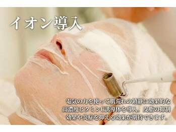 プランス 恵比寿店(PLANCE)/